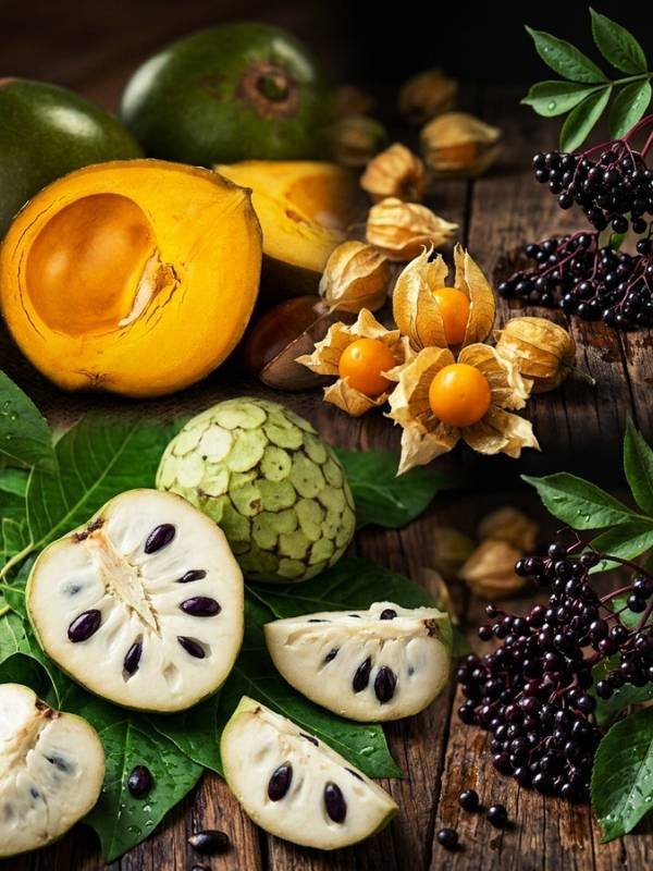 frutas nativas como lúcuma, chirimoya, aguaymanto y saúco en el walking tour gastronómico en Cusco. Tours en Perú.