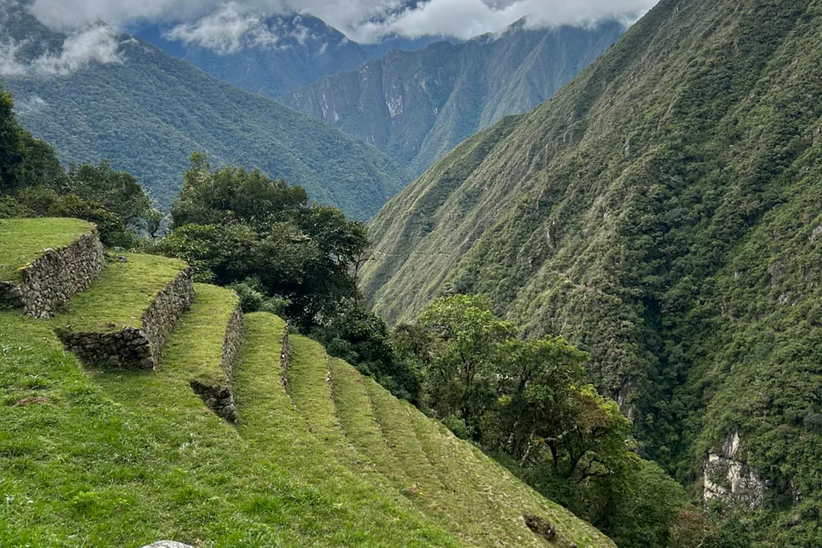 Panorámica de los andenes verdes escalonados de Wiñaywayna sobre el cañón del río Urubamba en la ruta del Camino Inca Corto